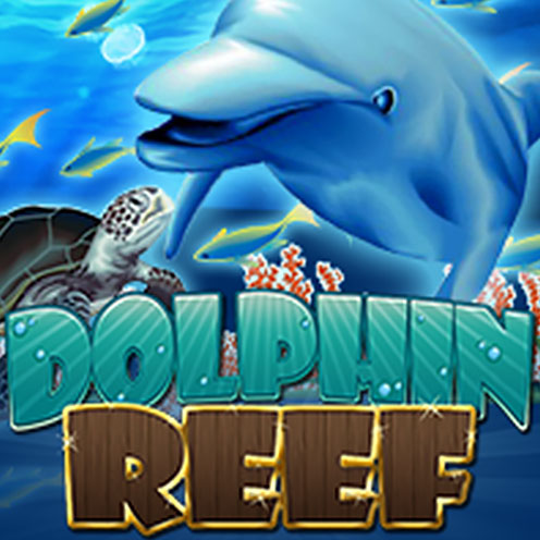Dolphin Reef