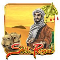  The Silk Road