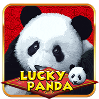  Lucky Panda
