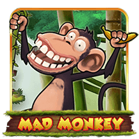  Mad  Monkey  H5
