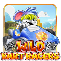  Wild  Kart  Racers