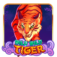  Wild  Wild  Tiger