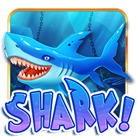  Shark