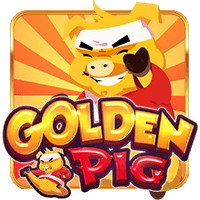  Golden  Pig
