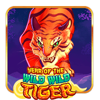  Year  Of  The  Wild  Wild  Tiger